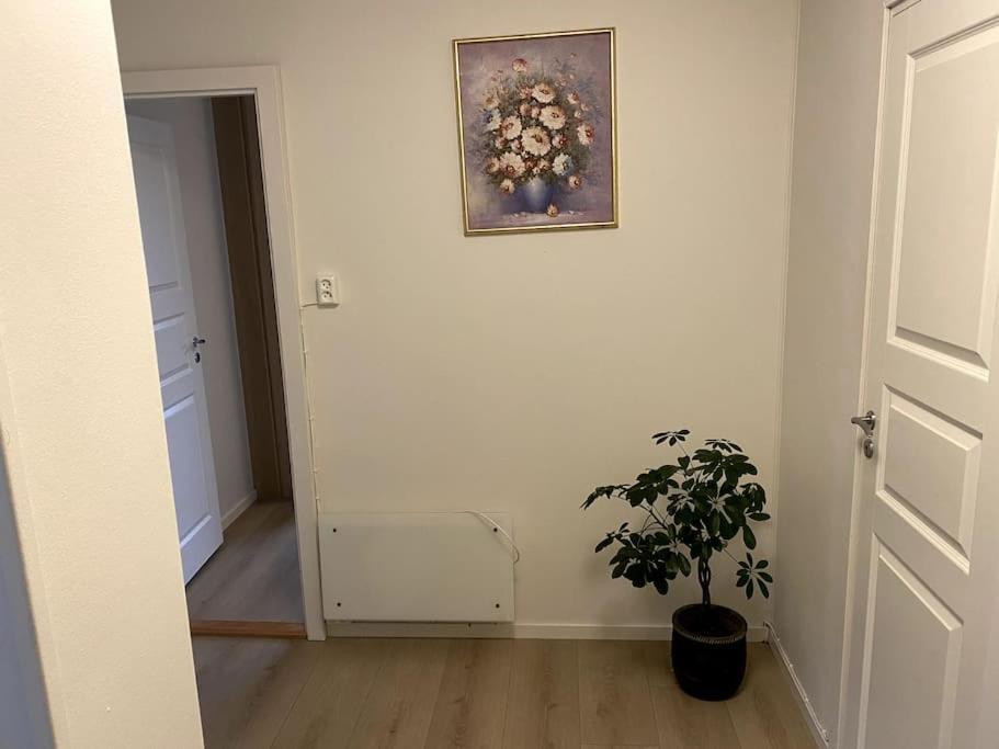 Lovely 2 Bedroom Apartmen With Free Parking Bergen Eksteriør bilde